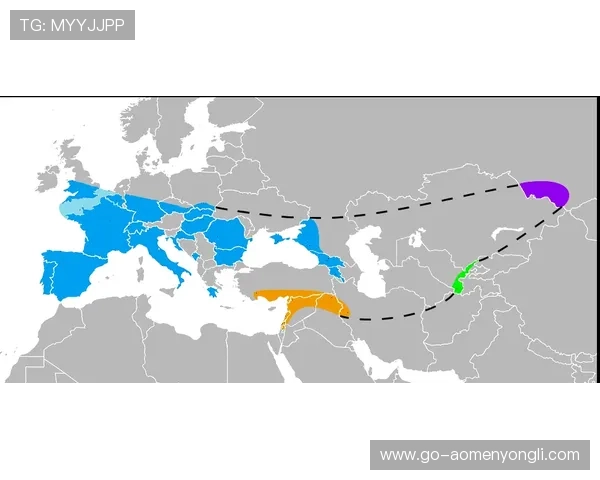 澳门伦敦人特色在现代社会中的传承与创新发展趋势详解